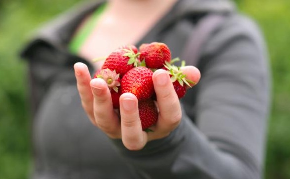 strawberries06