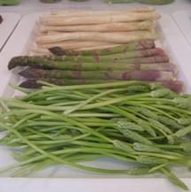 asparagus01