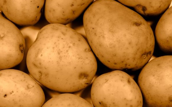 potatoes03