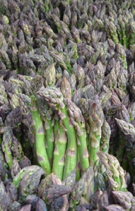 asparagus02