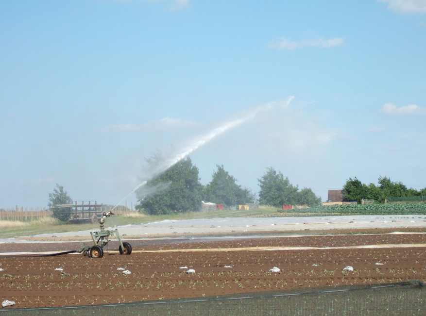 irrigation03