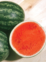watermelon_solitare