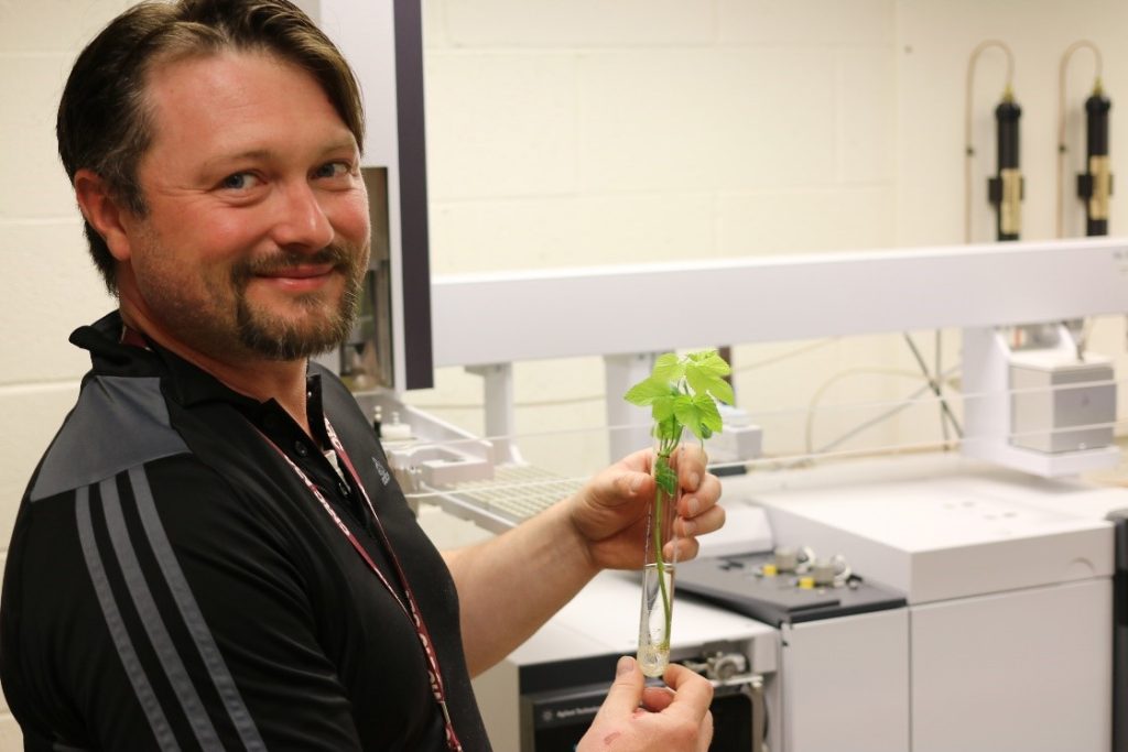 AAFC: Maritime wild hops research yields unique flavours
